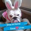 heidiperry338